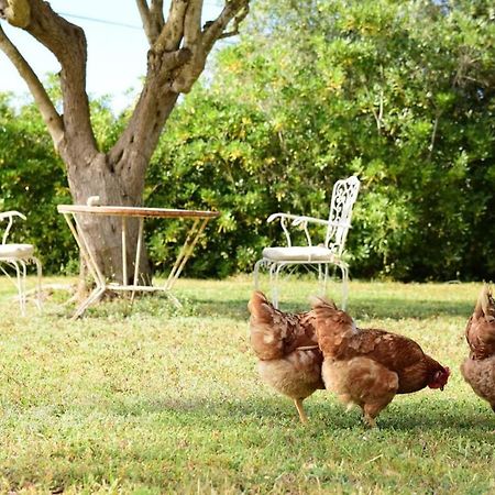 Binicalsitx Casa Rural Ferreries Luaran gambar