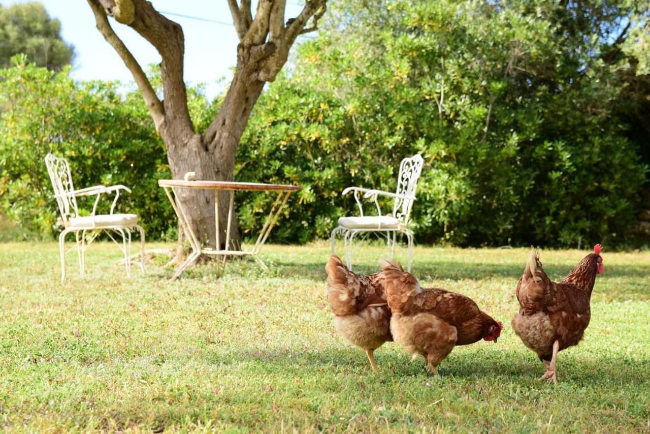 Binicalsitx Casa Rural Ferreries Luaran gambar