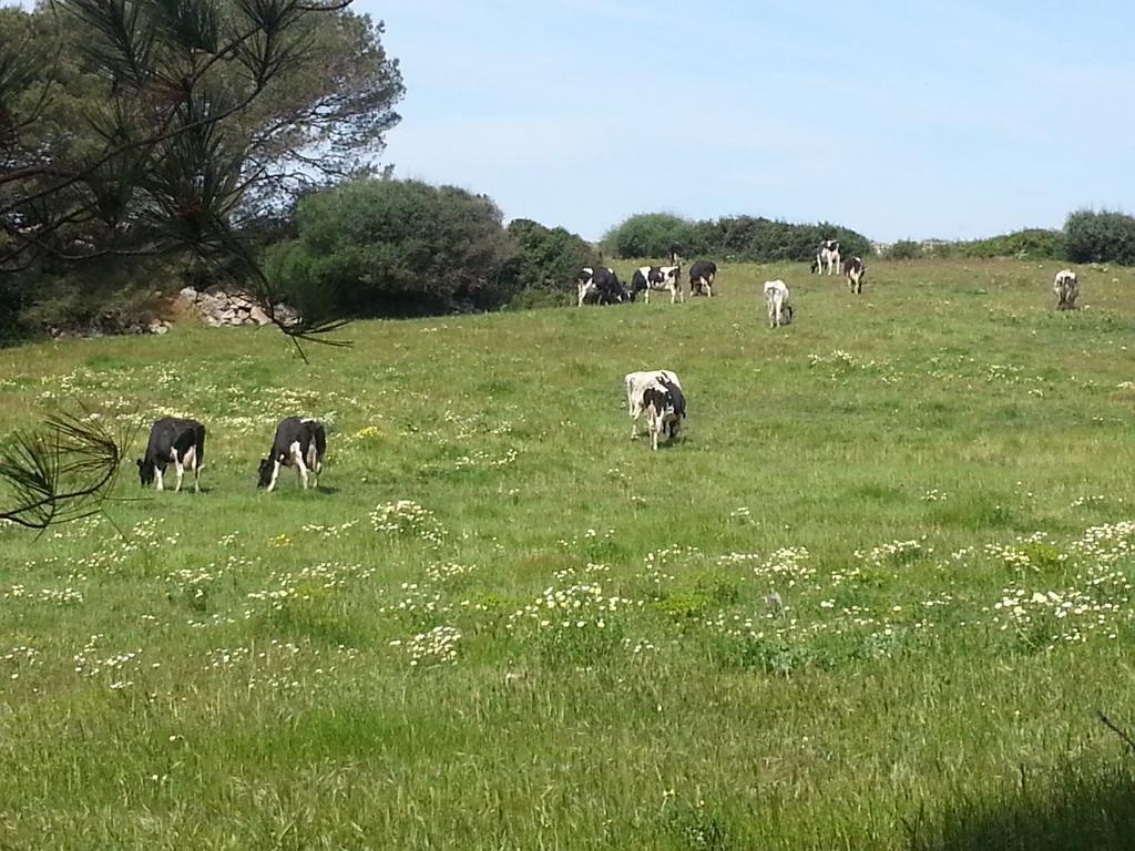Binicalsitx Casa Rural Ferreries Luaran gambar